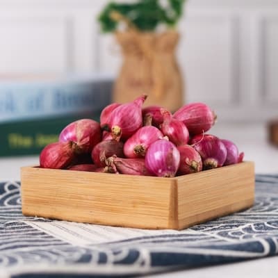 Shallot