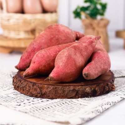 Japanese Sweet Potato