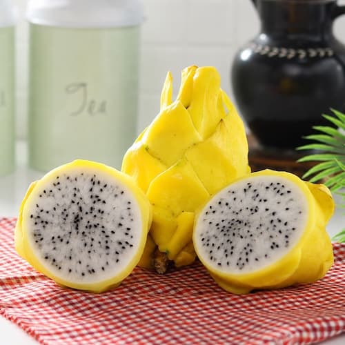 Yellow Dragon Fruit